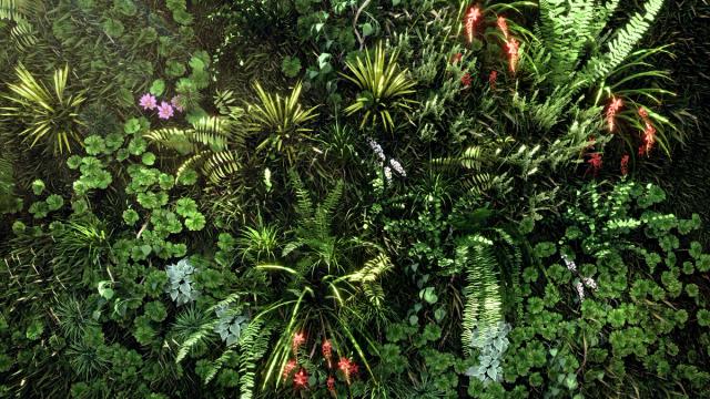 Front view of greenwall