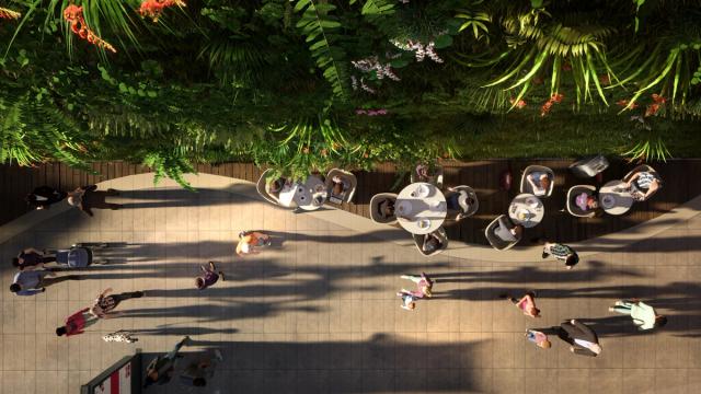 Greenwall garden view from above