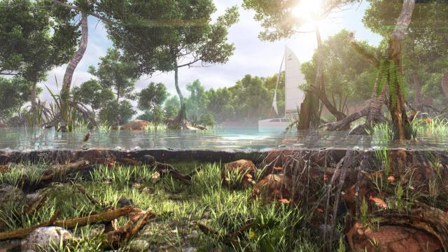 mangrove above and below water line view