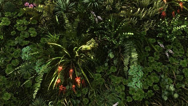 Studio Scotts Sizzle